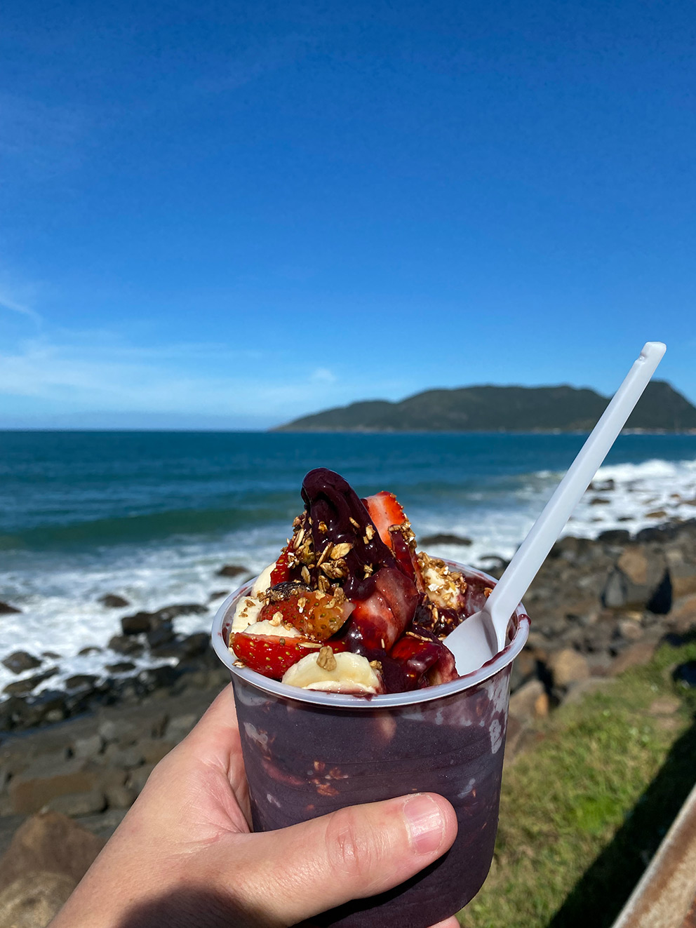 Acai - A Journey into Amazon's Superfood