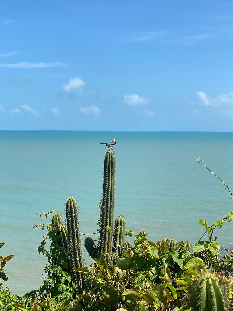 Jericoacoara Brazil