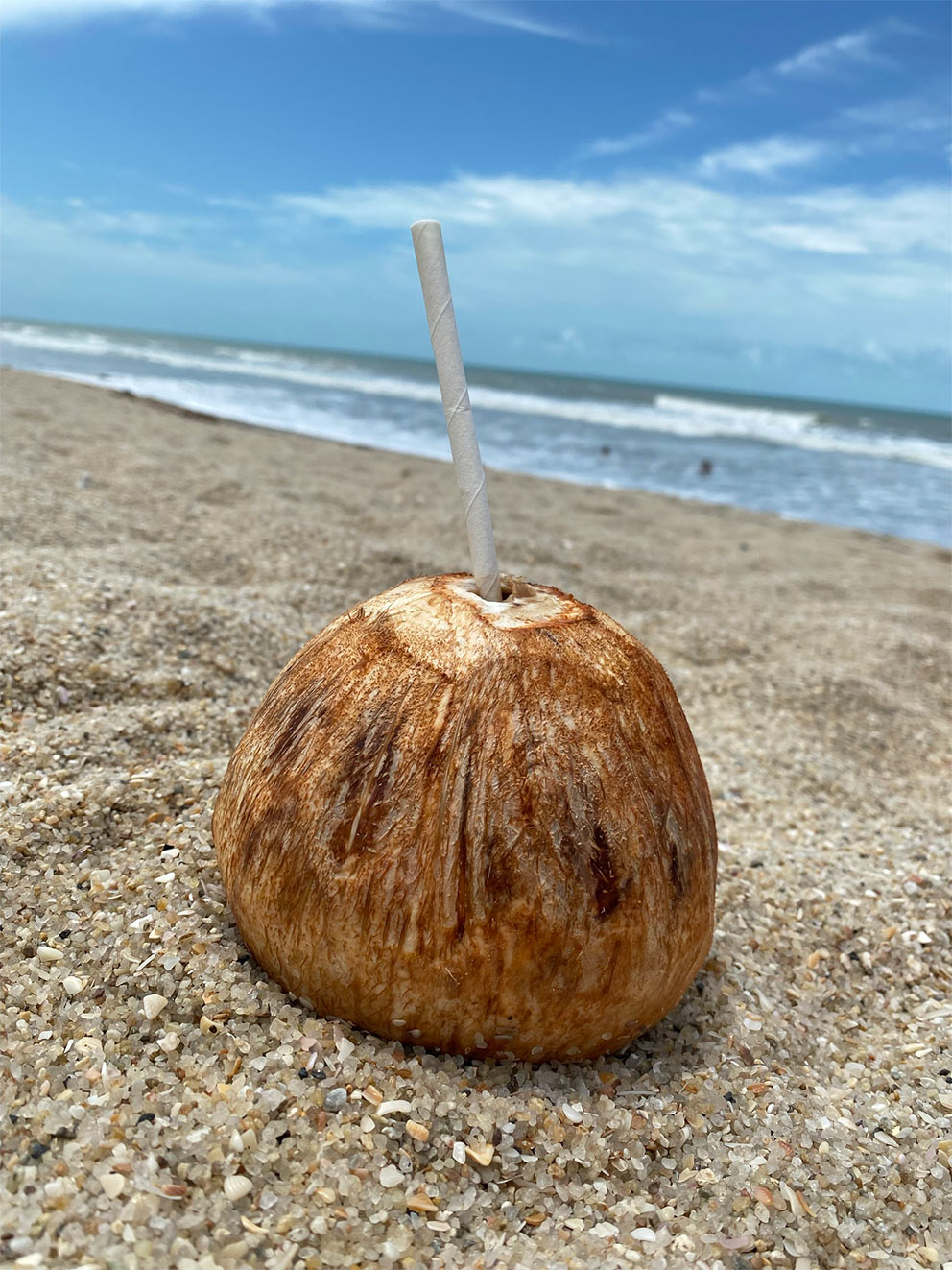 Young, Green Coconuts